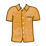 Designer Shirts